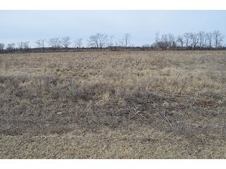 24 Grassland Acres - 20+/- Acres Wooded & 24+/- Acres Grassland, LAND AUCTION